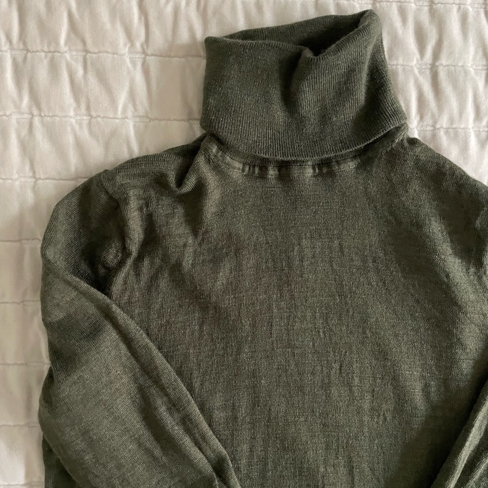 Gap 100% Merino Wool Turtleneck Sweater